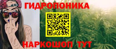 не бодяженный Кингисепп