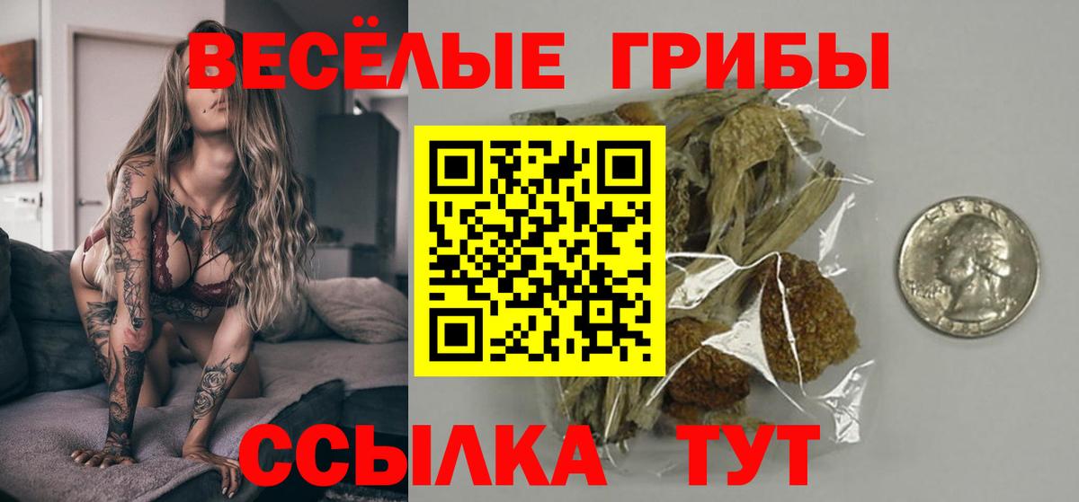 Псилоцибиновые грибы мицелий Усть-Илимск