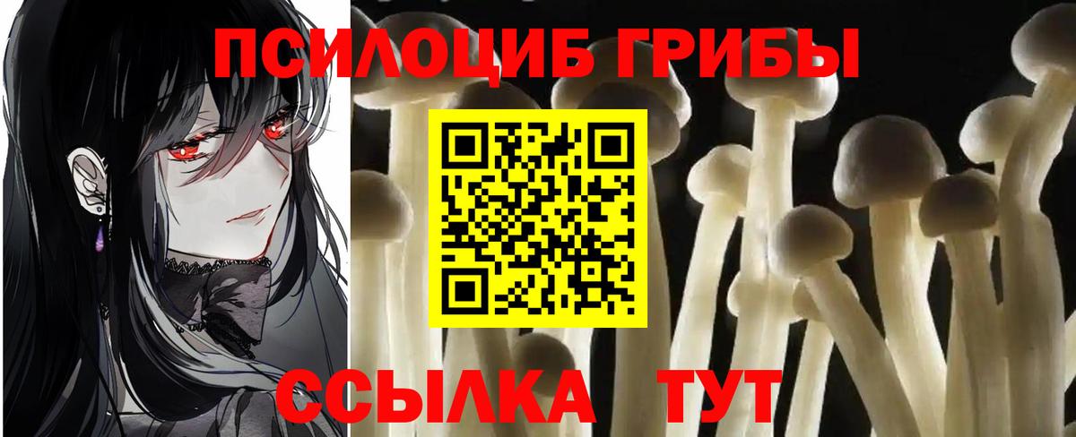 Галлюциногенные грибы мицелий  Вход с VPN  Усть-Илимск 